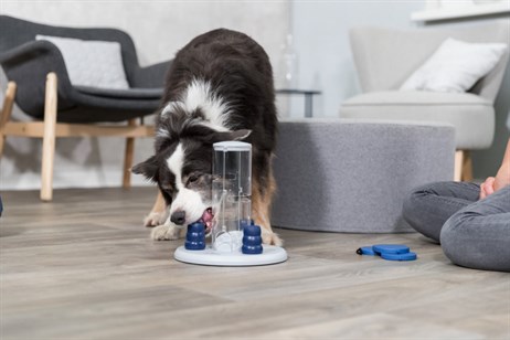 Trixie Köpek Zeka Eğitim Oyuncağı,Kule 25×33×25 cm